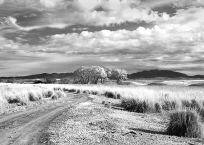 Patagonia San Rafael Valley Grasslands